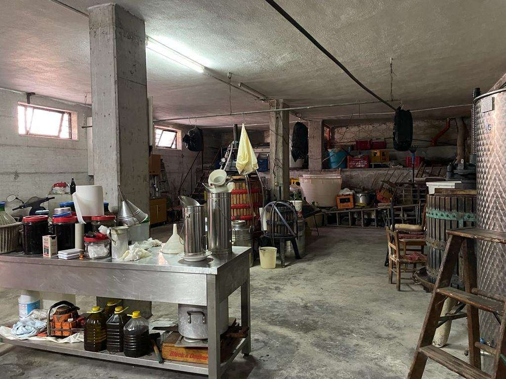 immagine annuncio 5 di 9