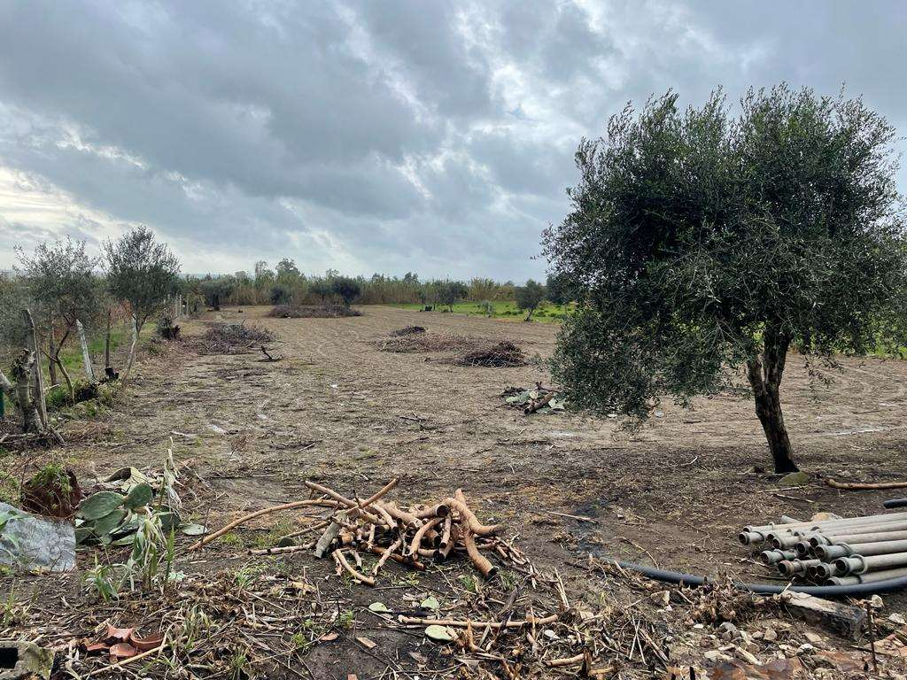 immagine annuncio 3 di 9