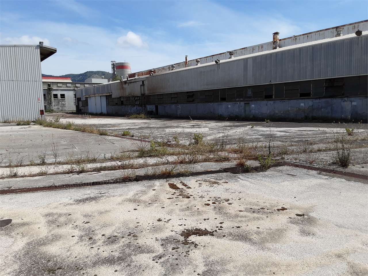 immagine annuncio 2 di 3