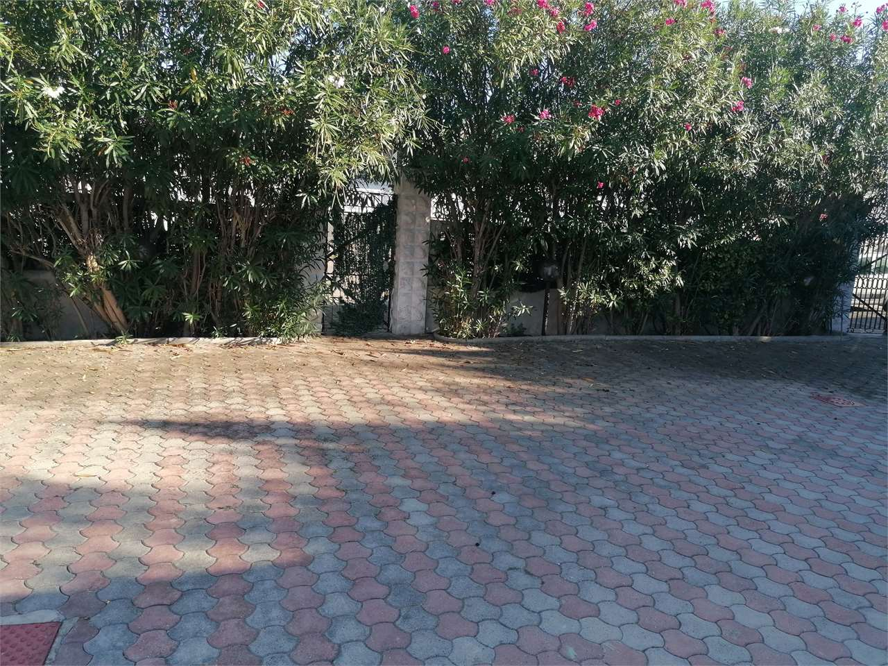 immagine annuncio 4 di 6