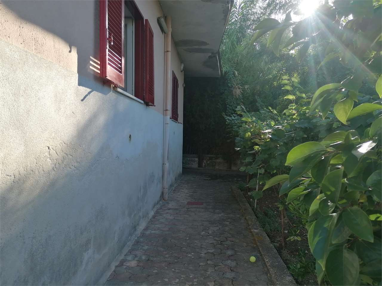 immagine annuncio 5 di 6