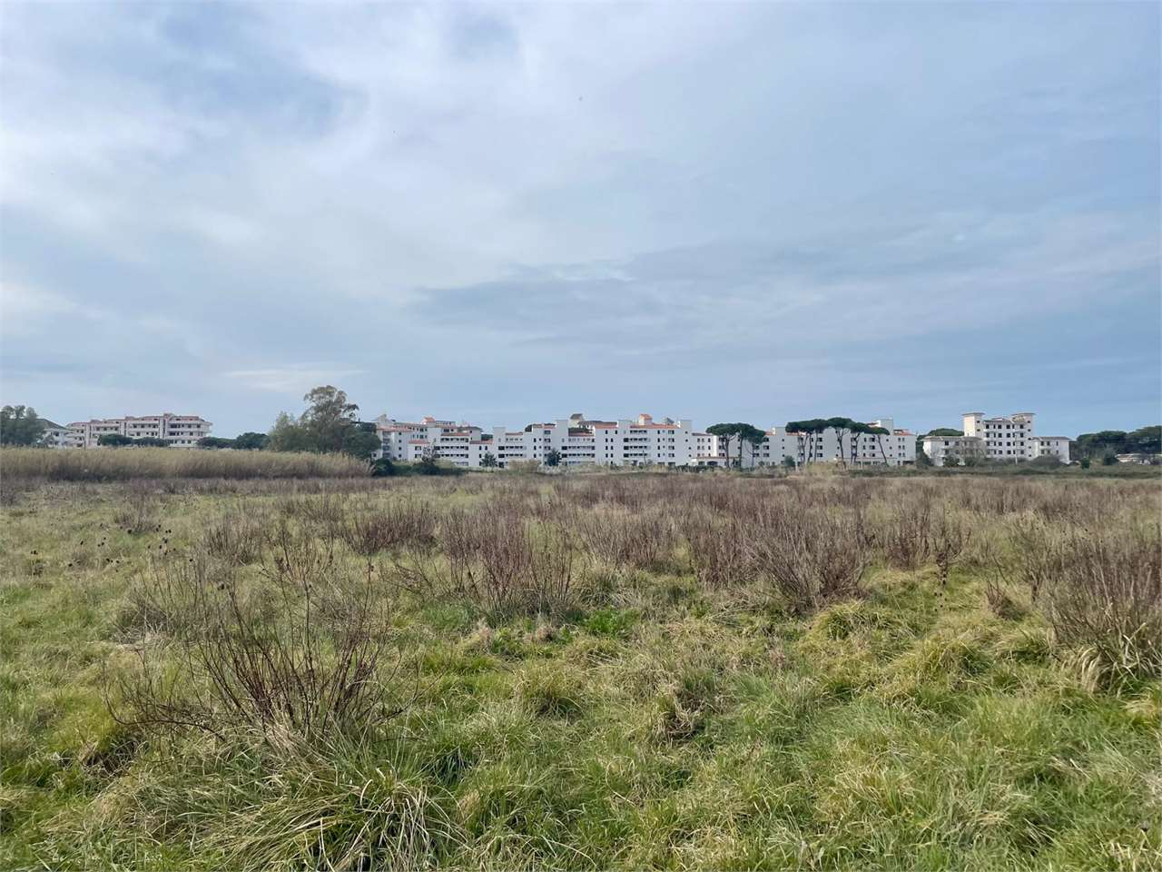 immagine annuncio 2 di 6