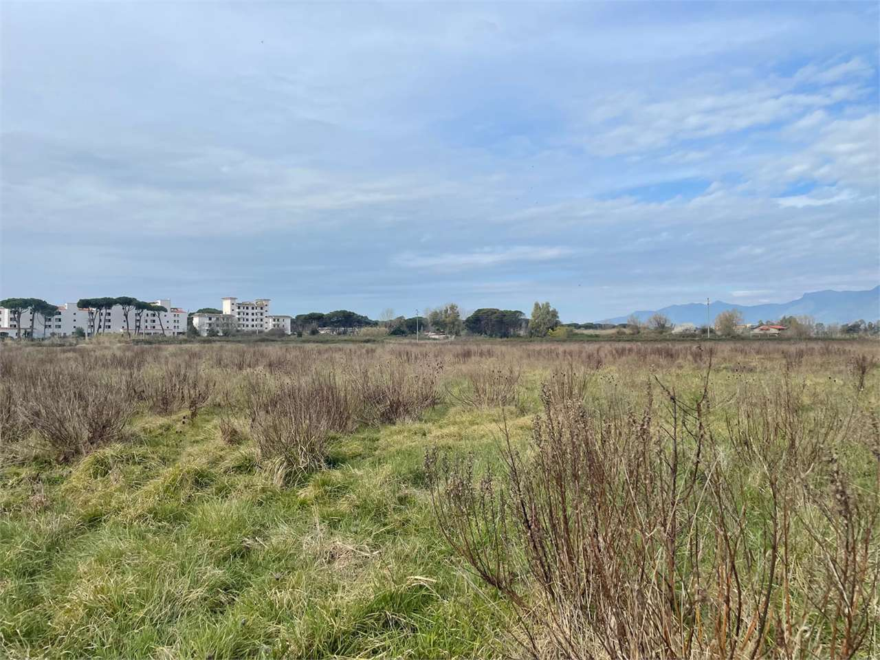 immagine annuncio 3 di 6