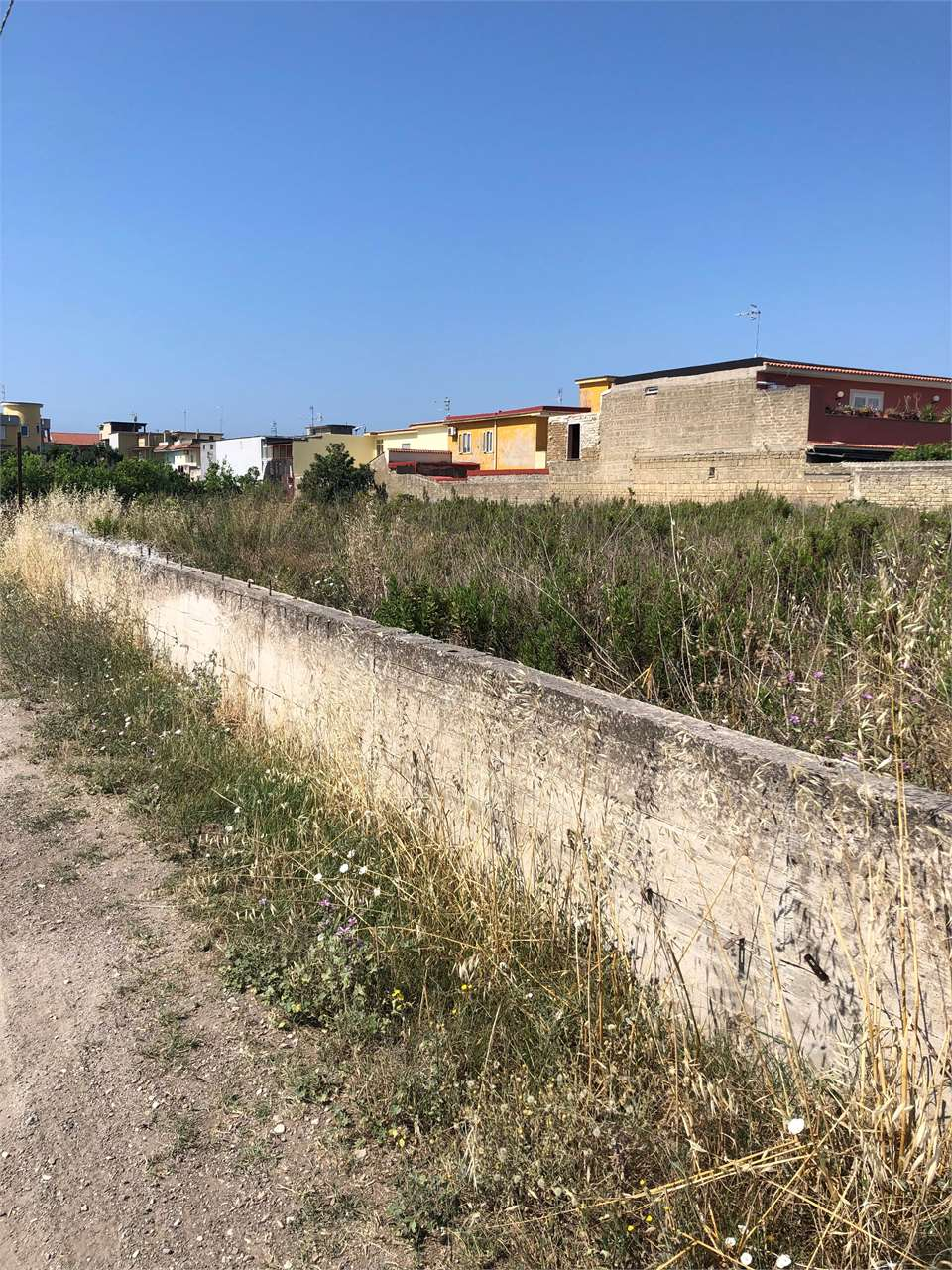 immagine annuncio 2 di 8