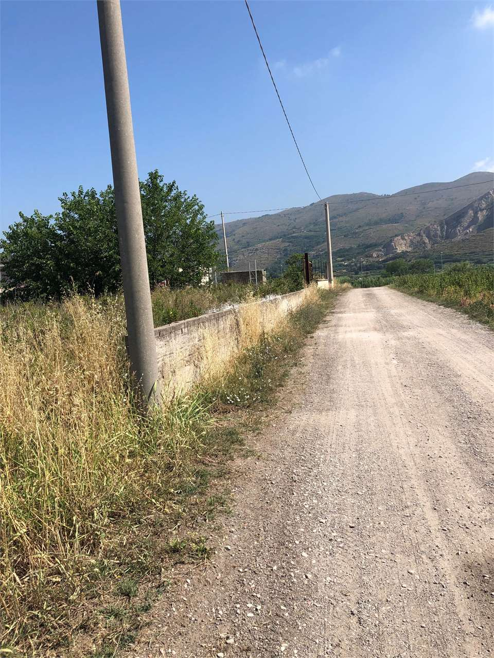 immagine annuncio 7 di 8