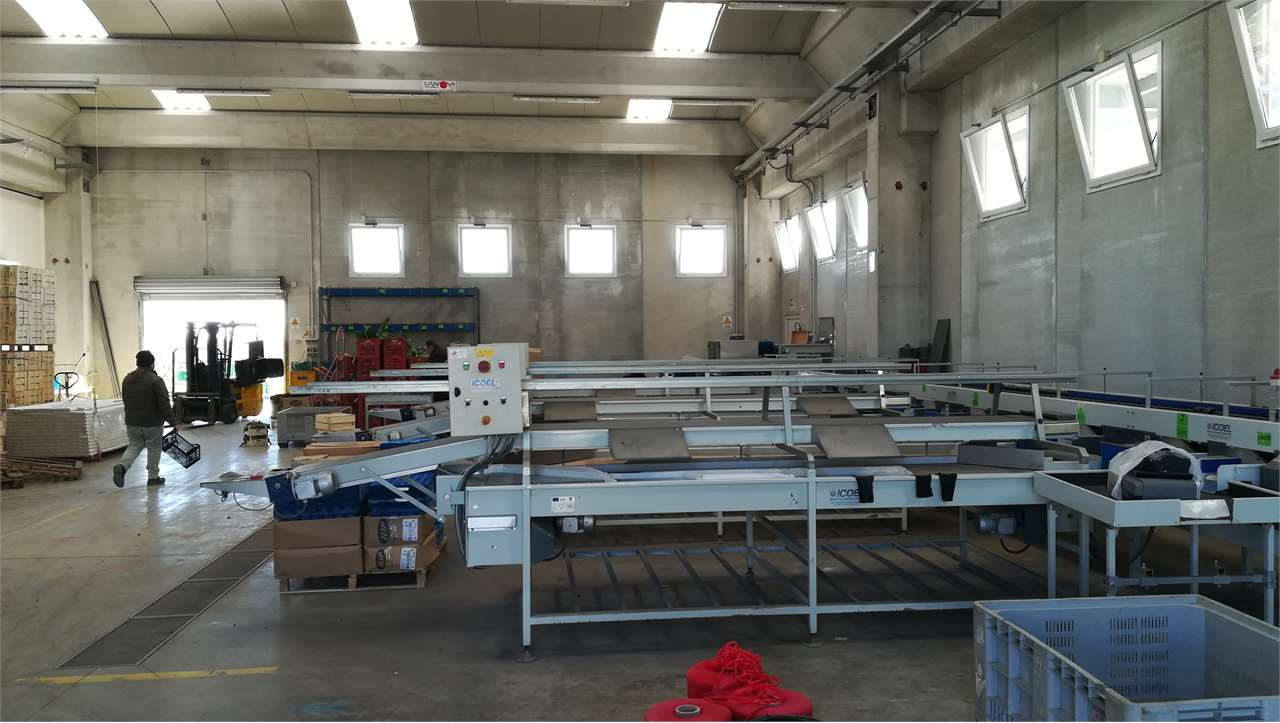 immagine annuncio 1 di 4