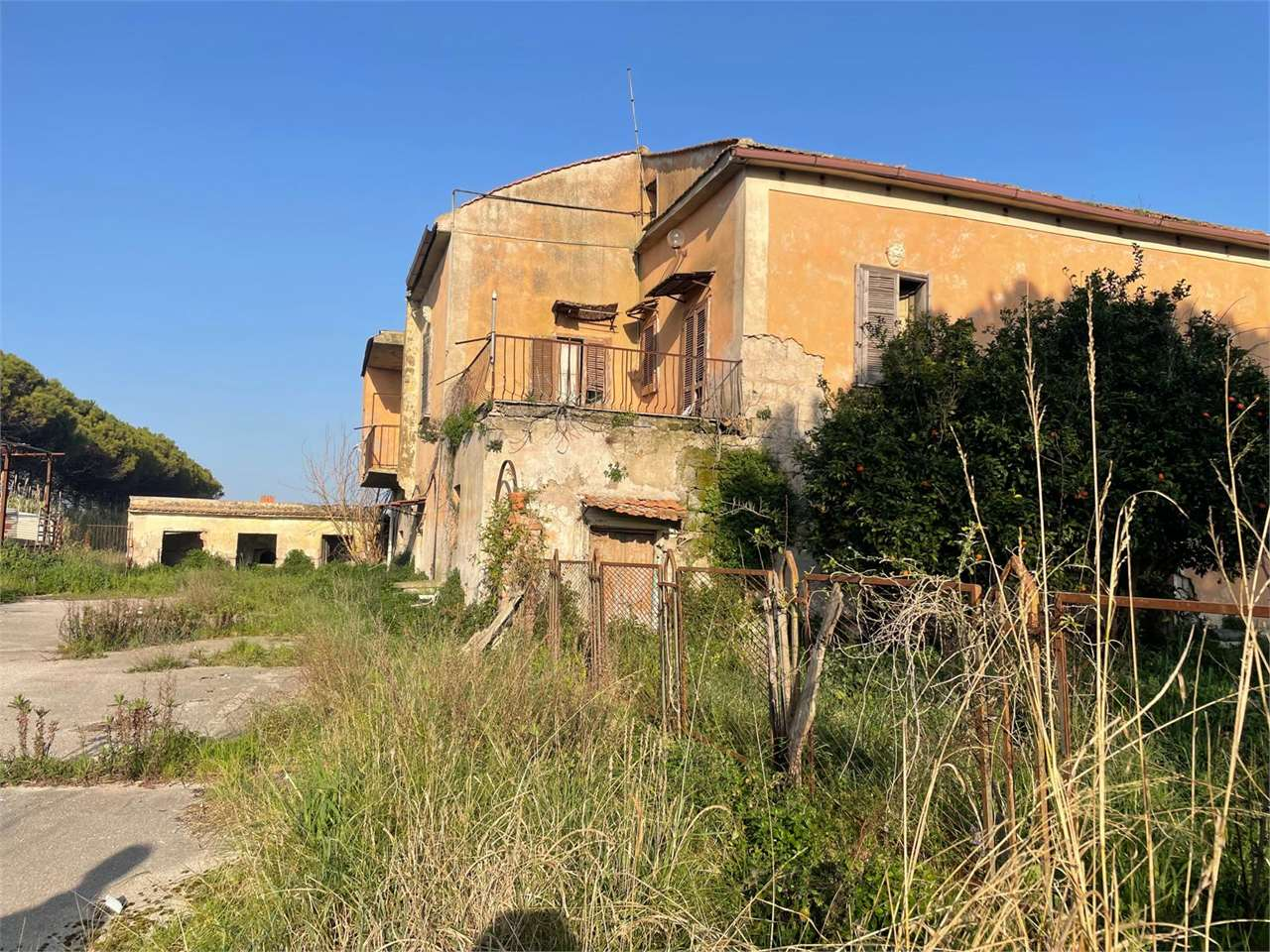 immagine annuncio 7 di 10