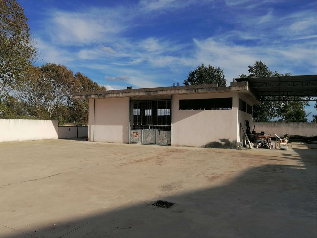 immagine annuncio 1 di 10