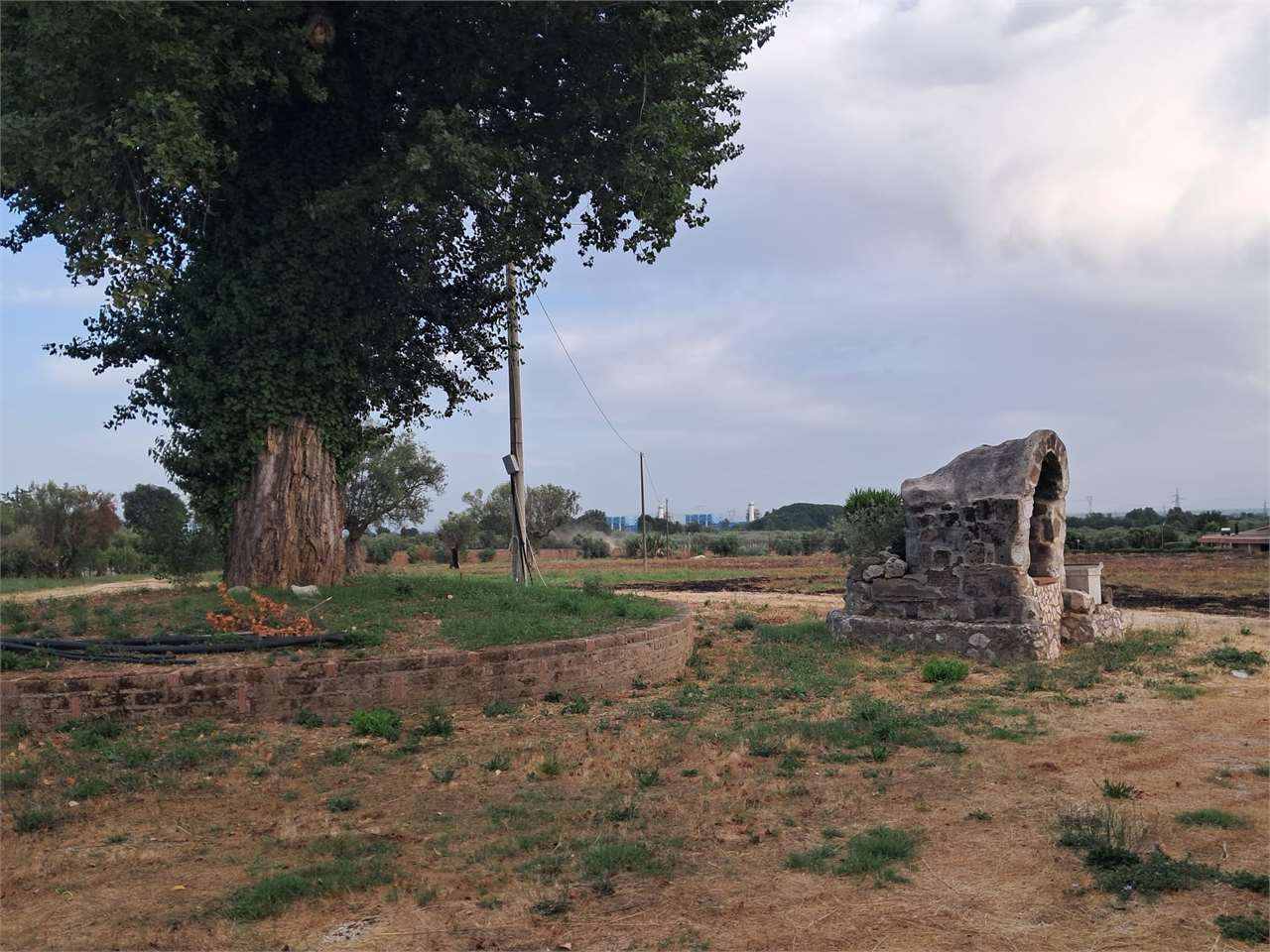 immagine annuncio 2 di 3