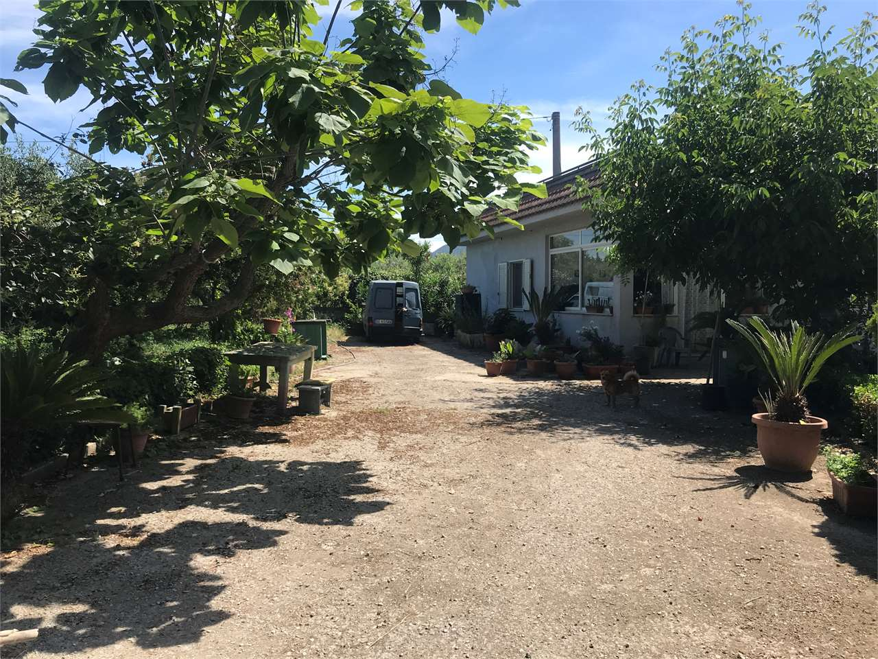 immagine annuncio 8 di 9