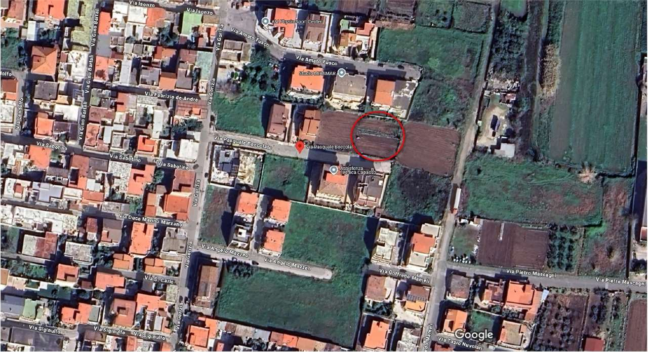 immagine annuncio 1 di 10