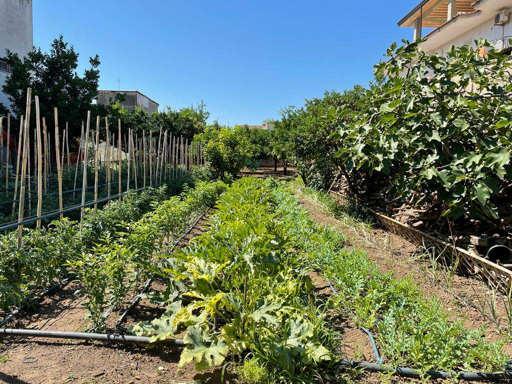 immagine annuncio 2 di 3