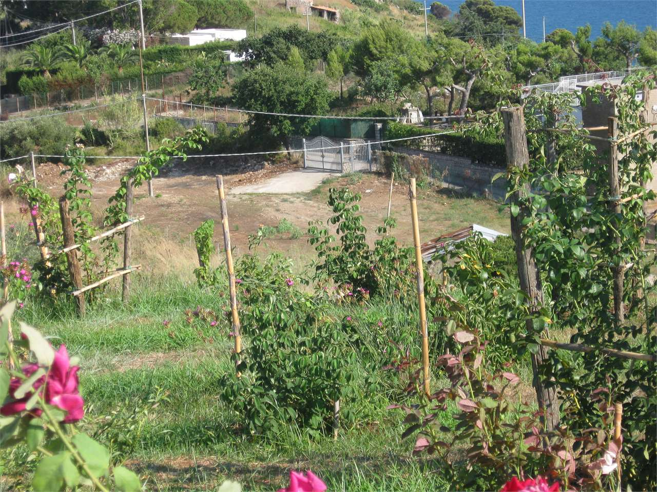 immagine annuncio 2 di 4