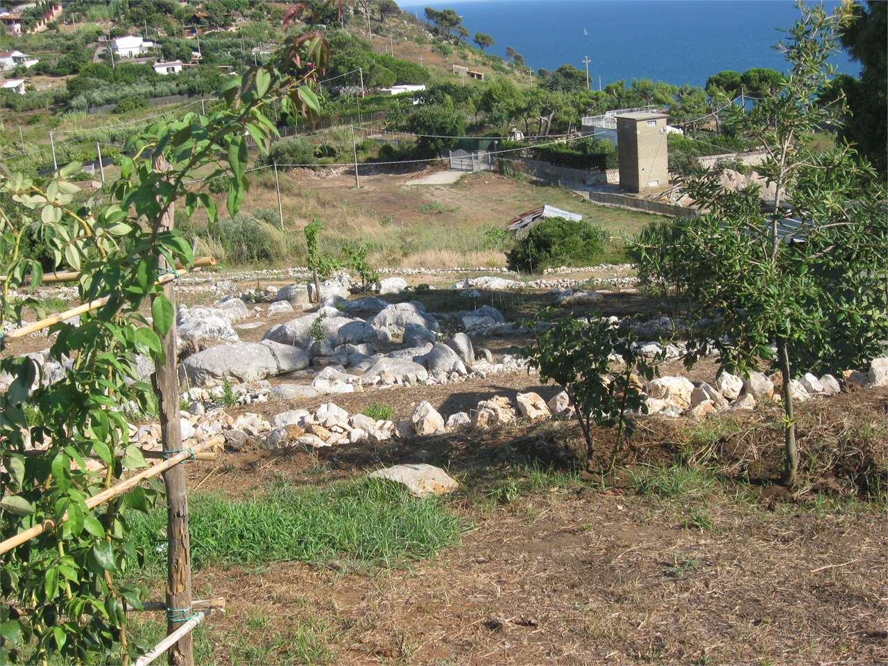 immagine annuncio 3 di 4