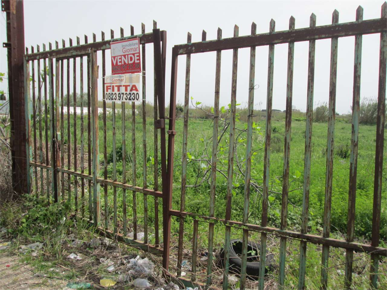 immagine annuncio 2 di 4