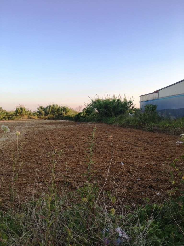 immagine annuncio 1 di 4