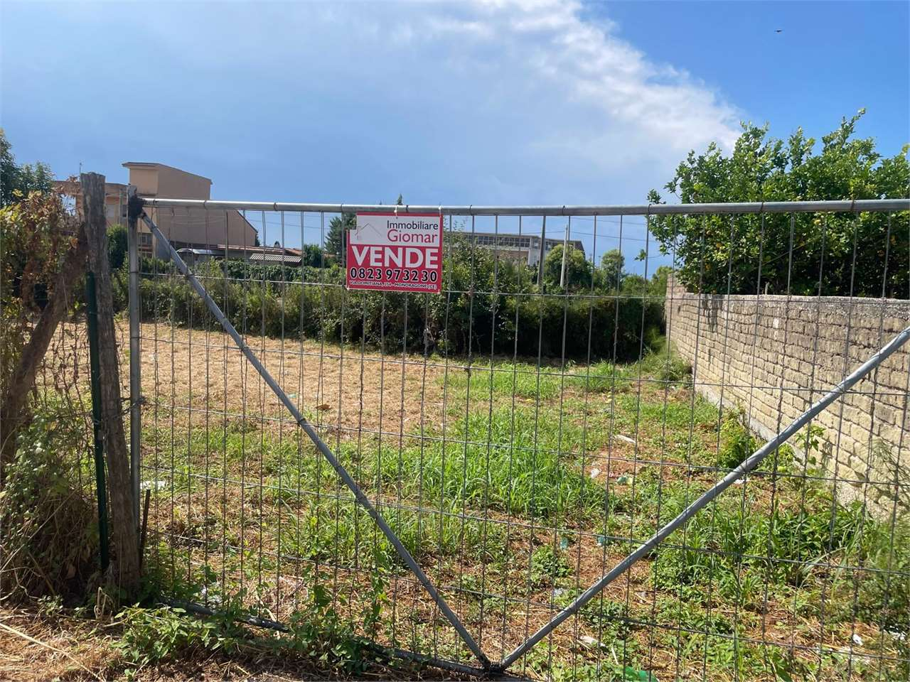 immagine annuncio 3 di 8