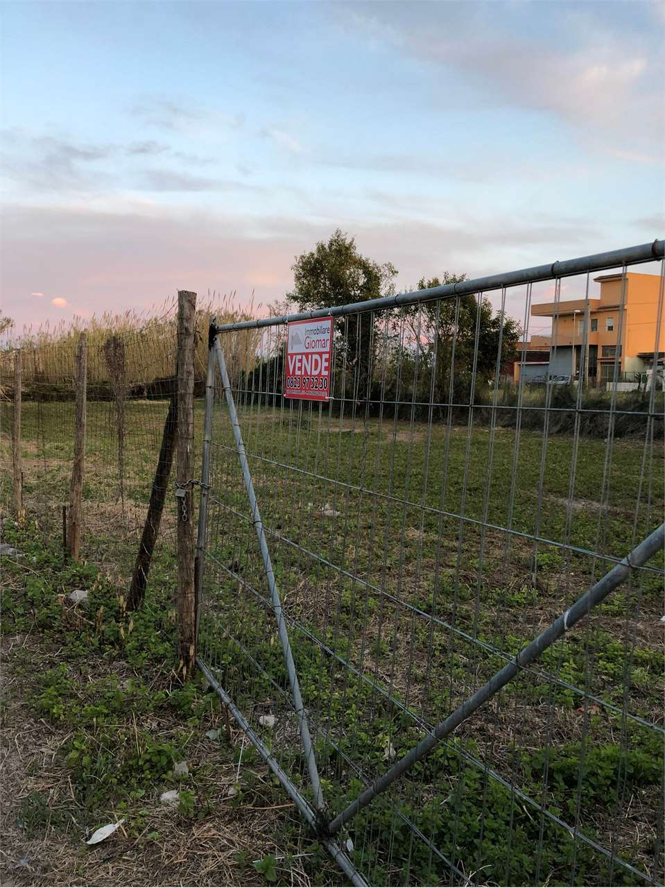 immagine annuncio 4 di 8