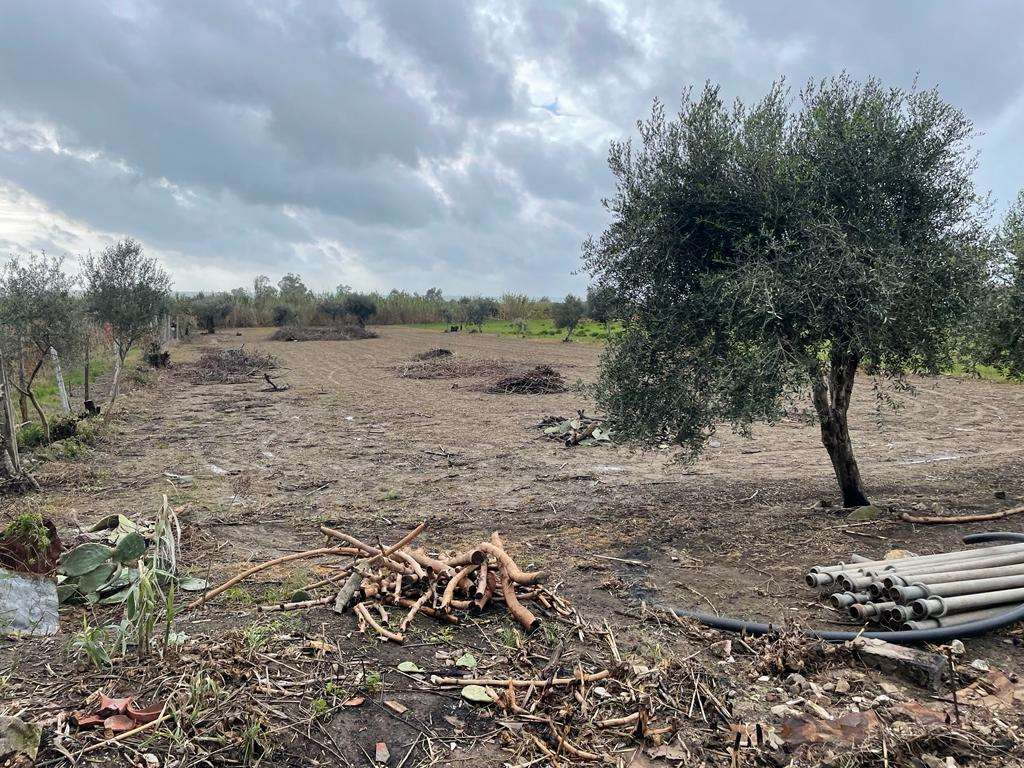 immagine annuncio 6 di 9