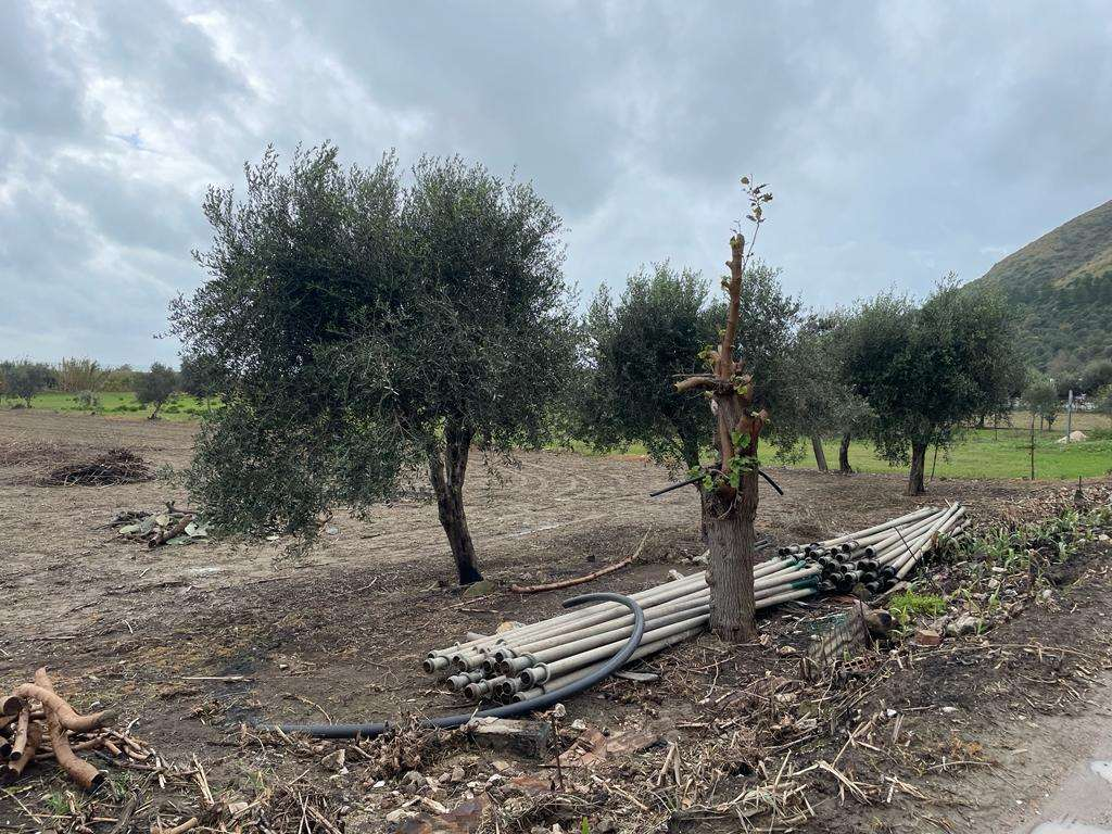 immagine annuncio 8 di 9