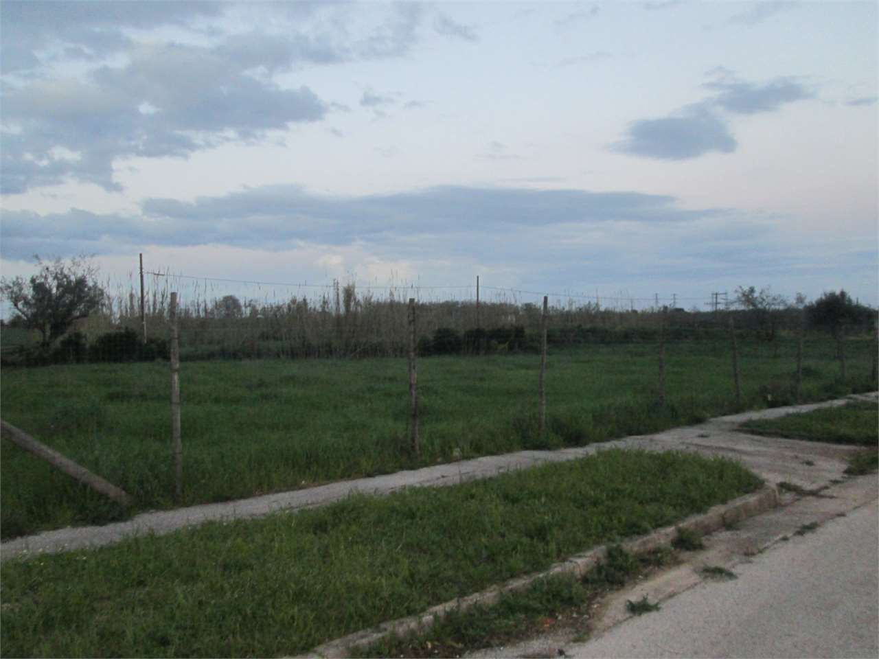 immagine annuncio 3 di 7