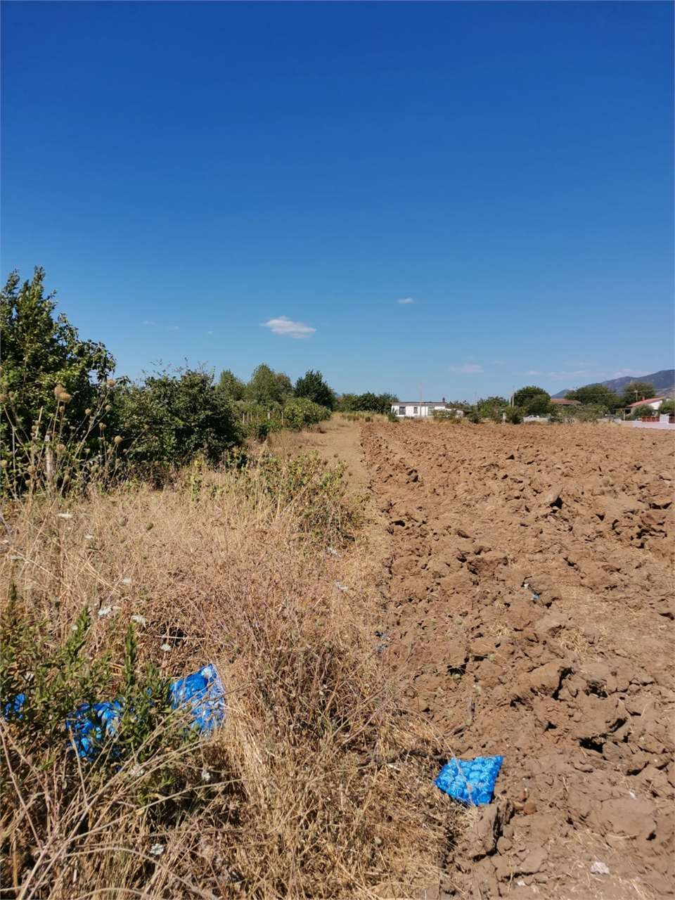 immagine annuncio 4 di 7