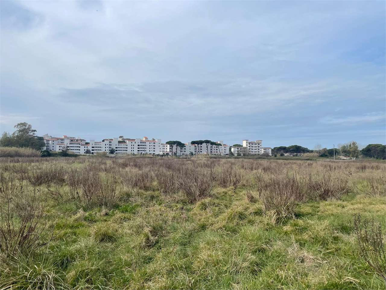 immagine annuncio 1 di 6