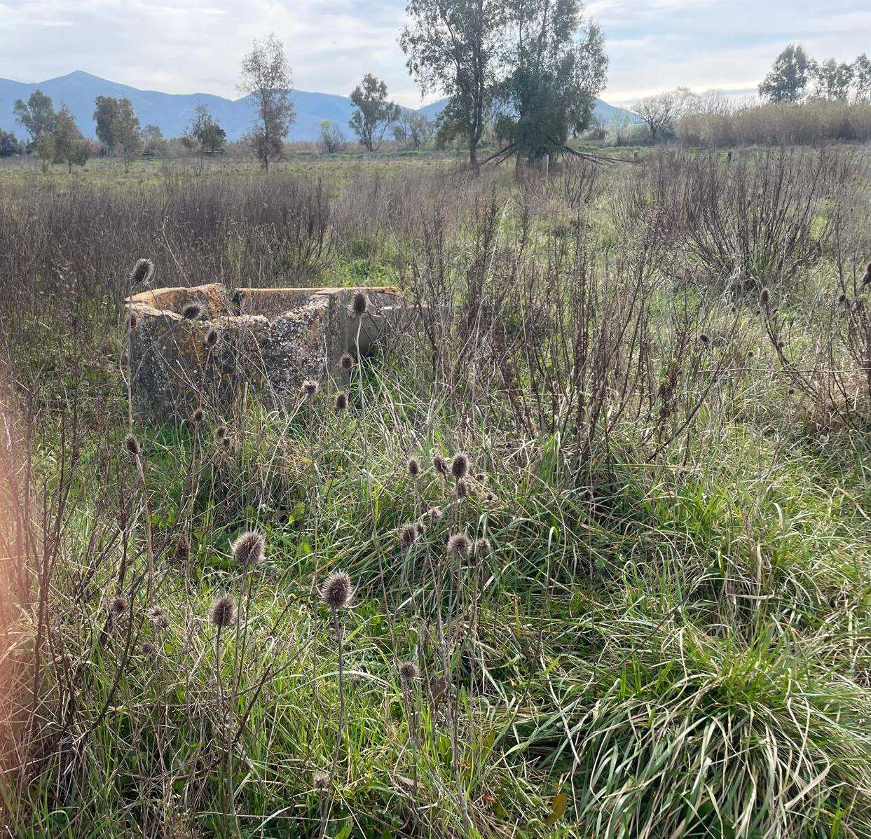 immagine annuncio 5 di 6