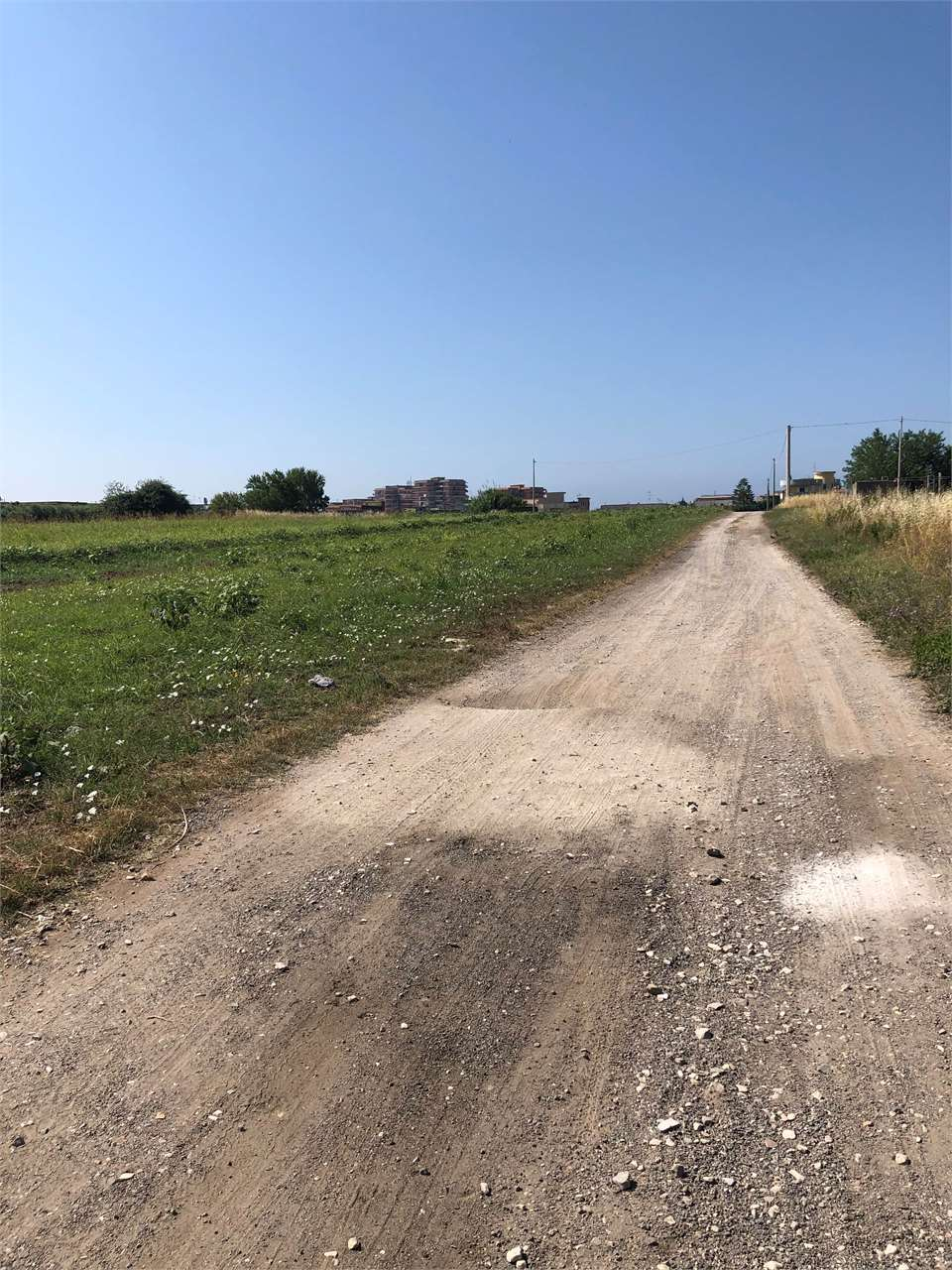 immagine annuncio 1 di 8