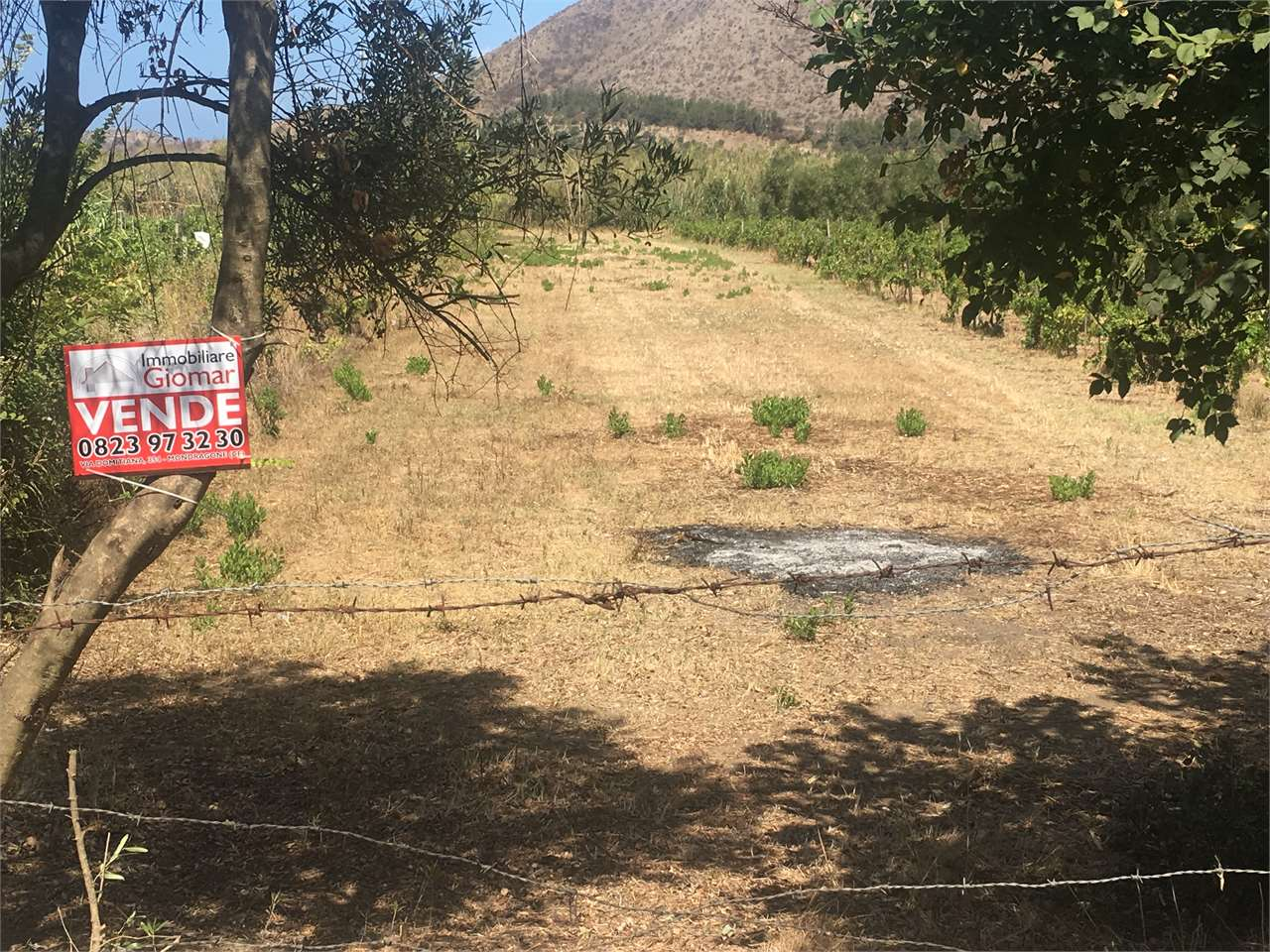 immagine annuncio 1 di 3