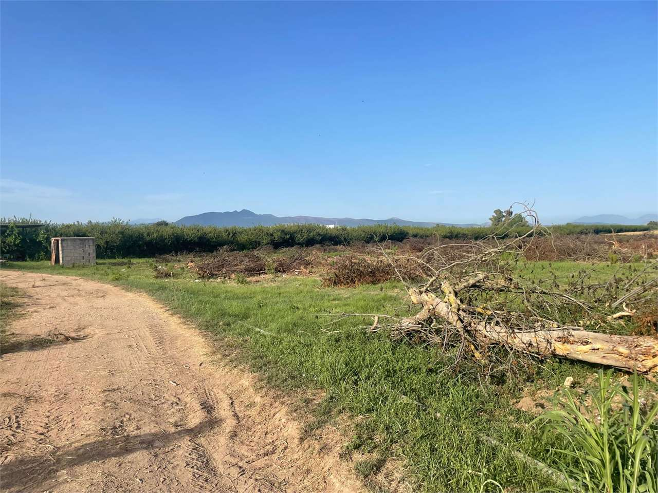 immagine annuncio 2 di 8