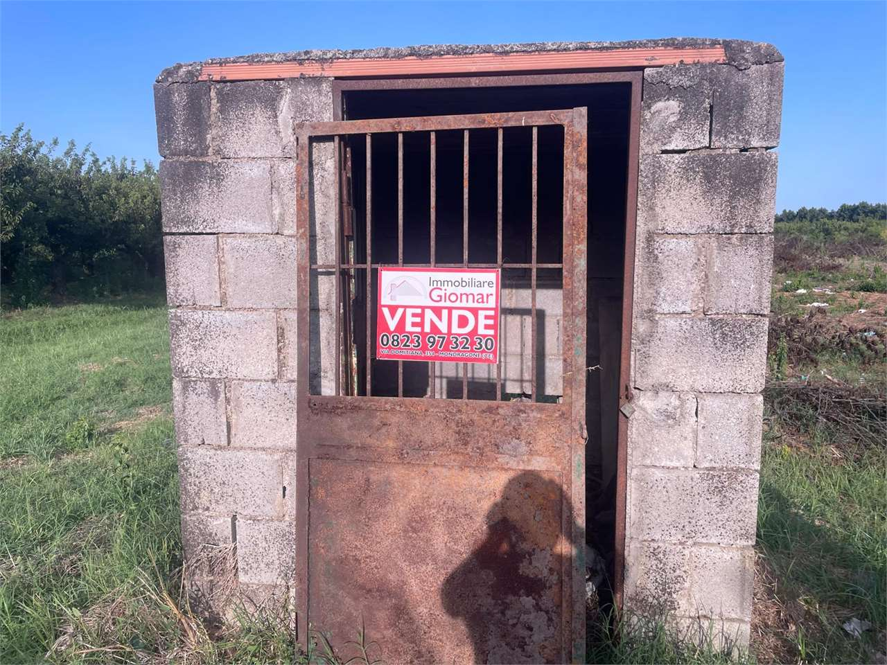 immagine annuncio 4 di 8