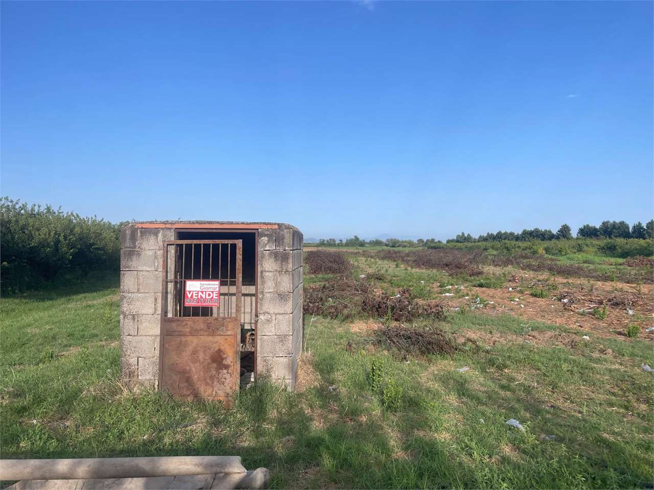 immagine annuncio 5 di 8