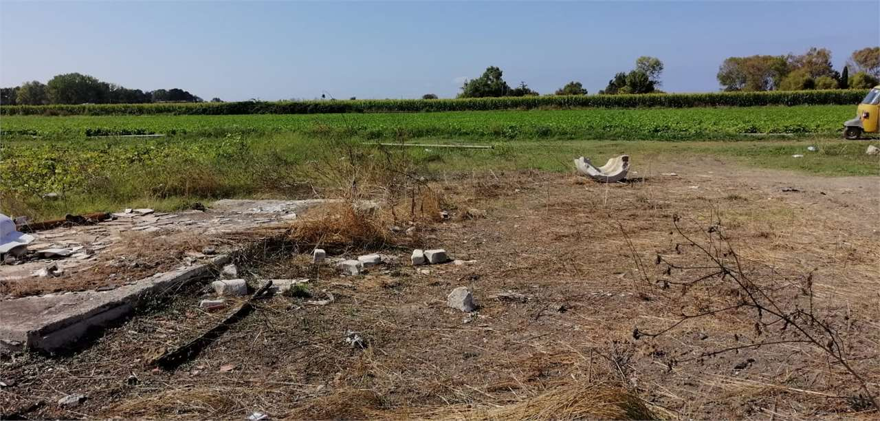 immagine annuncio 3 di 4