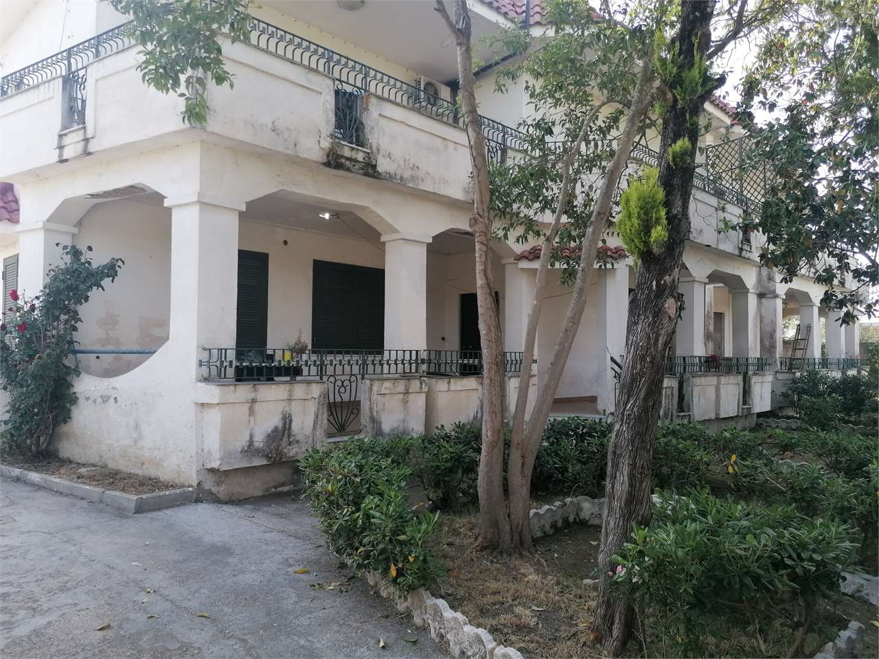 immagine annuncio 3 di 4