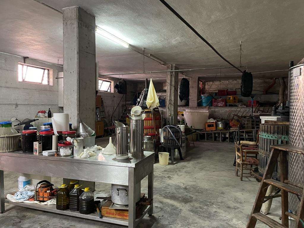 immagine annuncio 8 di 9