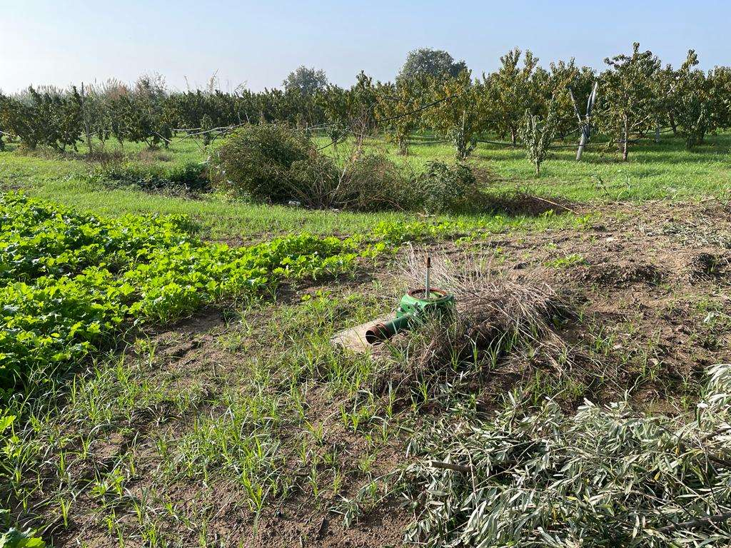 immagine annuncio 6 di 7