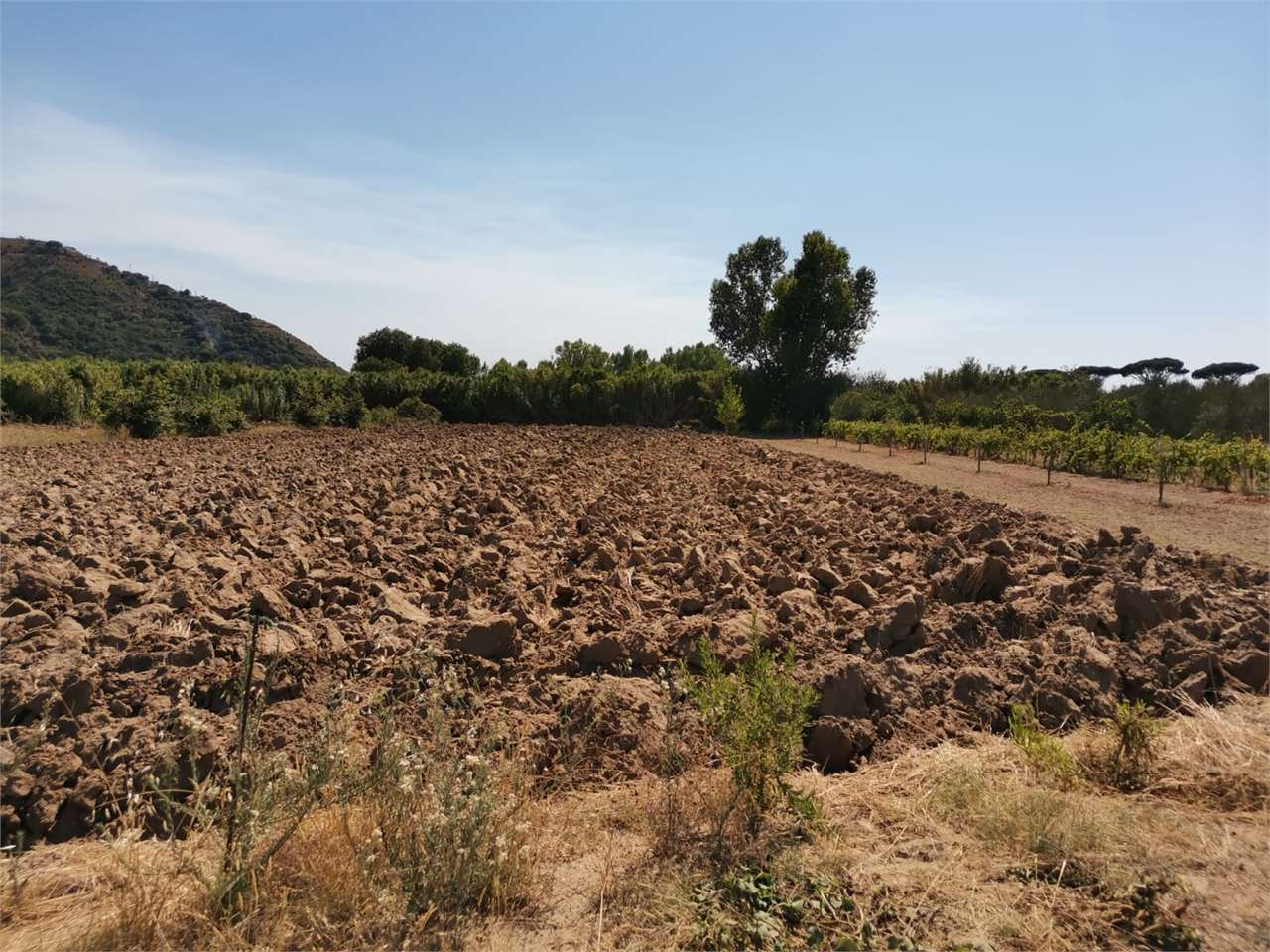 immagine annuncio 5 di 7