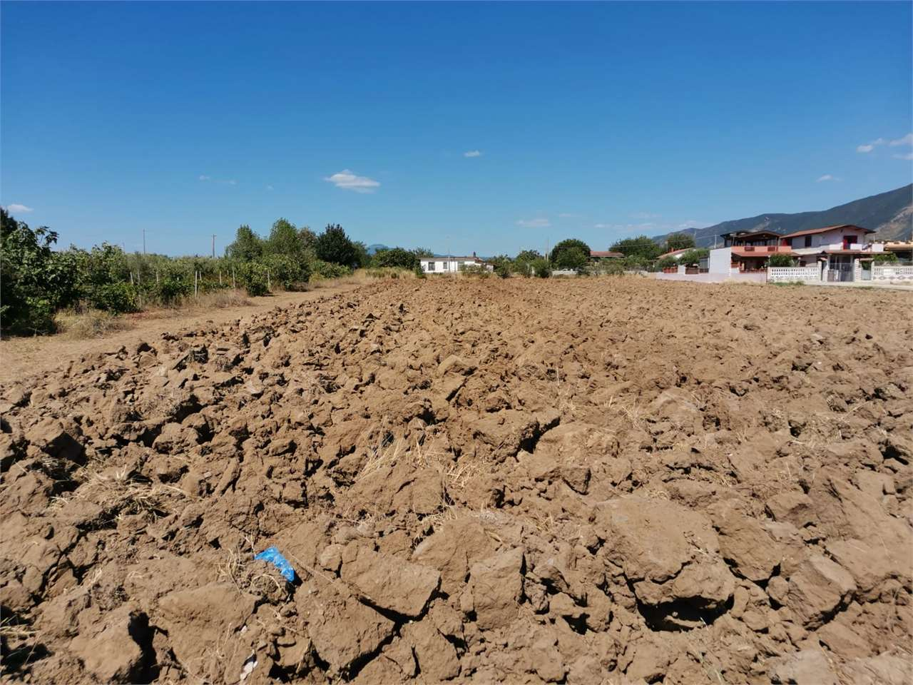 immagine annuncio 6 di 7