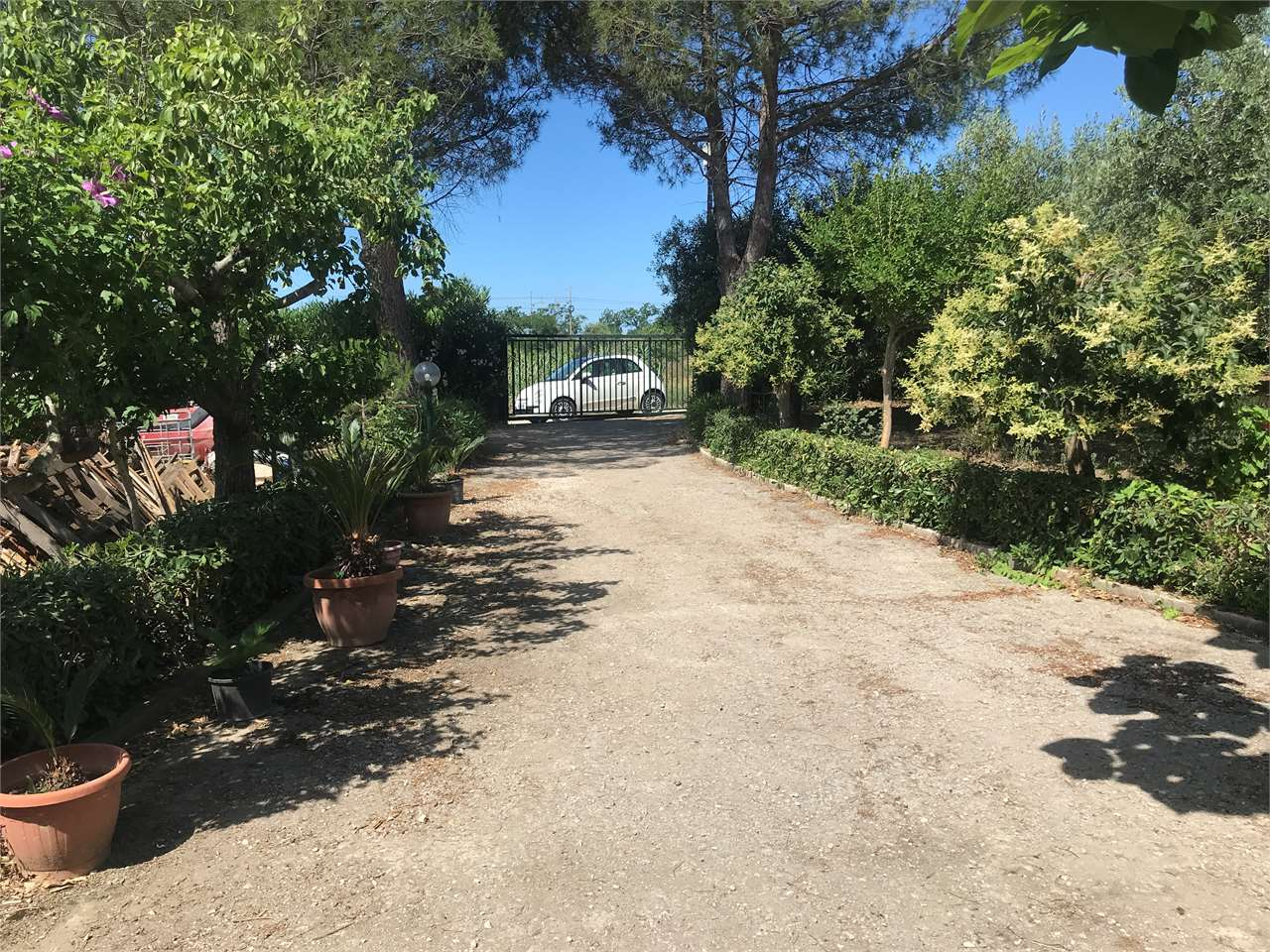 immagine annuncio 2 di 9