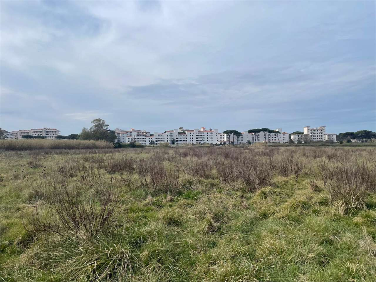 immagine annuncio 1 di 6