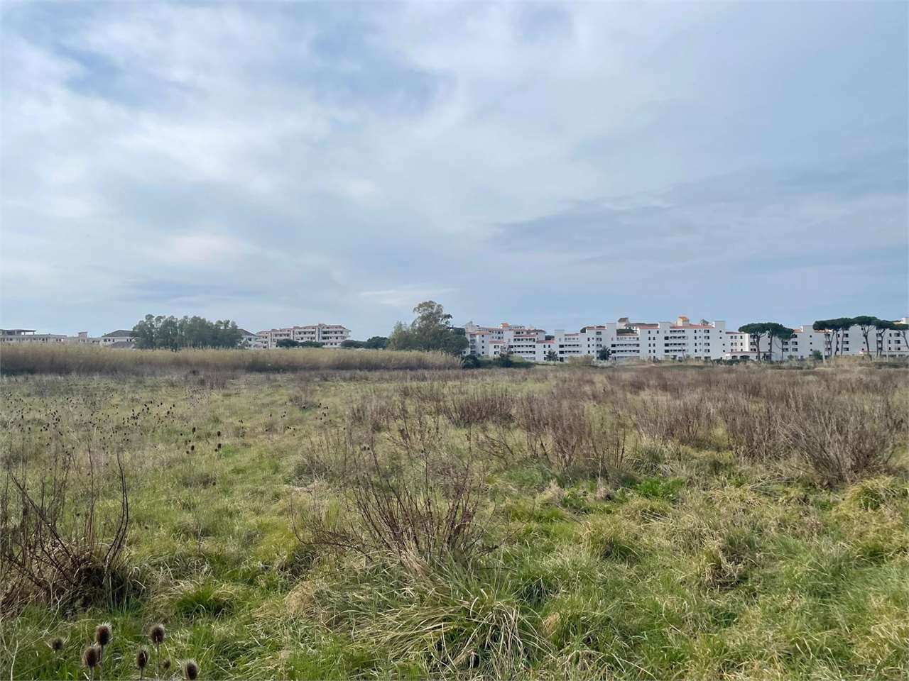 immagine annuncio 4 di 6