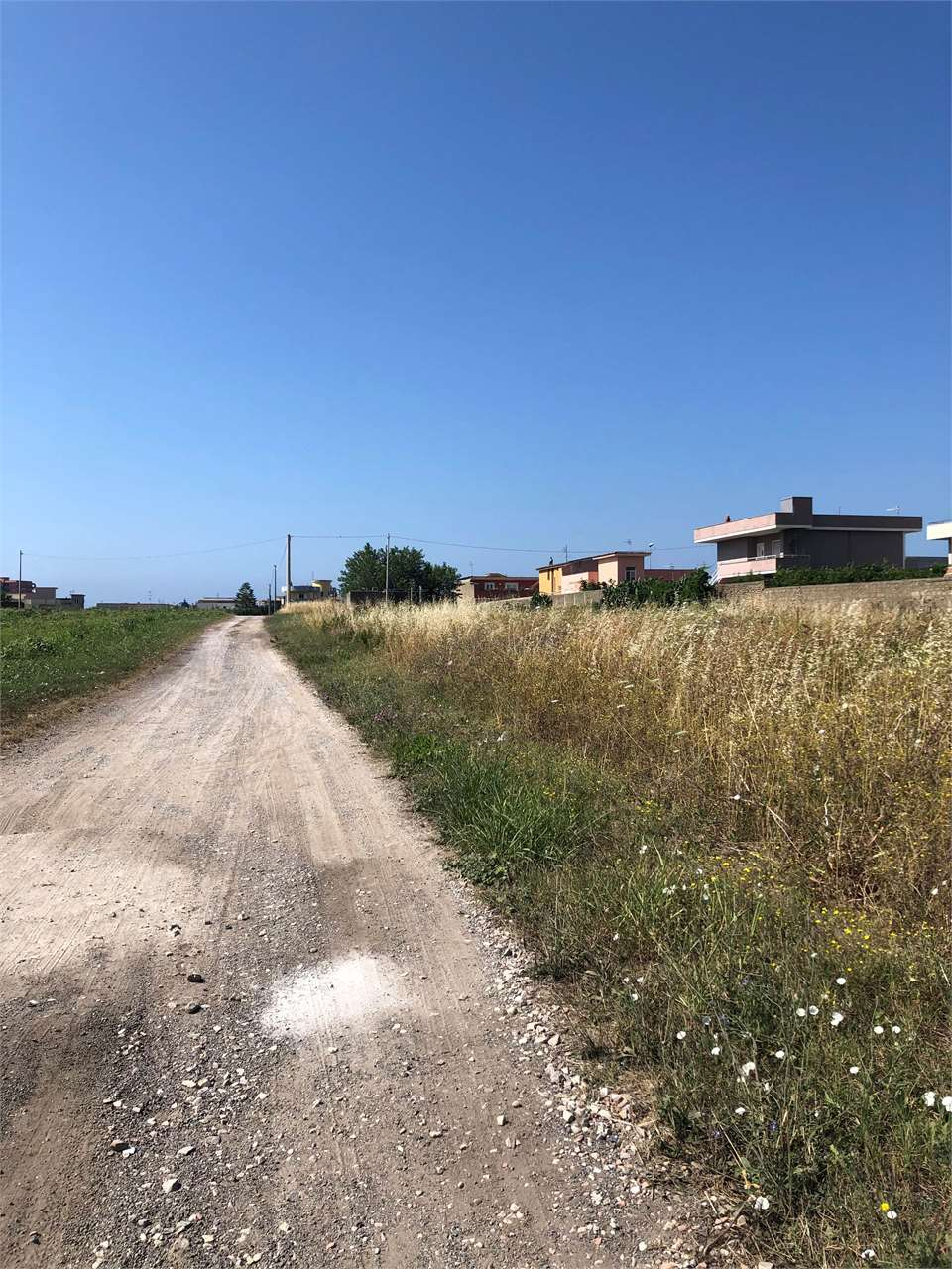 immagine annuncio 1 di 8