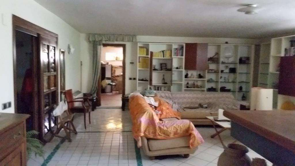 immagine annuncio 2 di 8