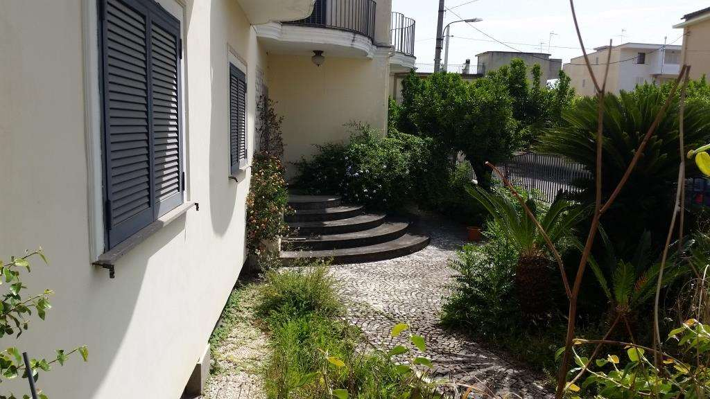 immagine annuncio 5 di 8