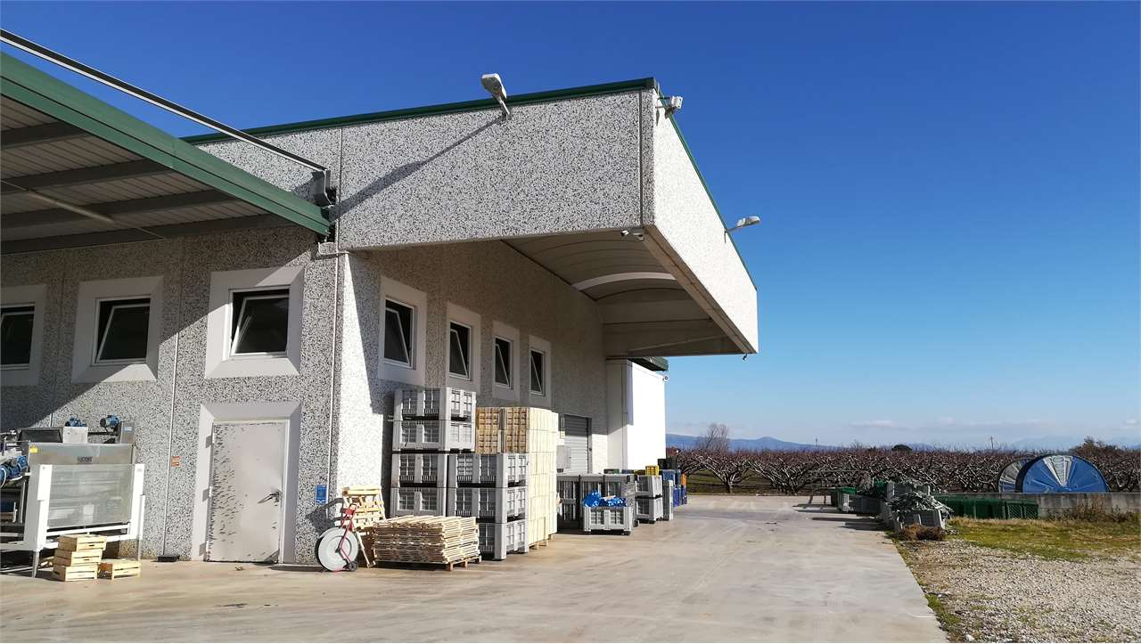 immagine annuncio 2 di 4