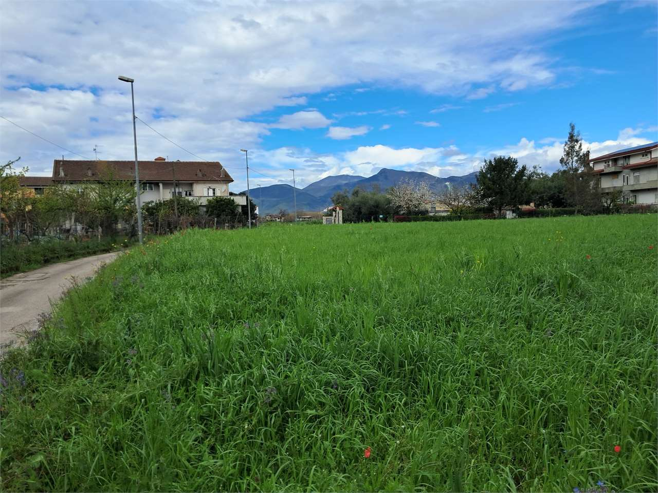 immagine annuncio 1 di 4