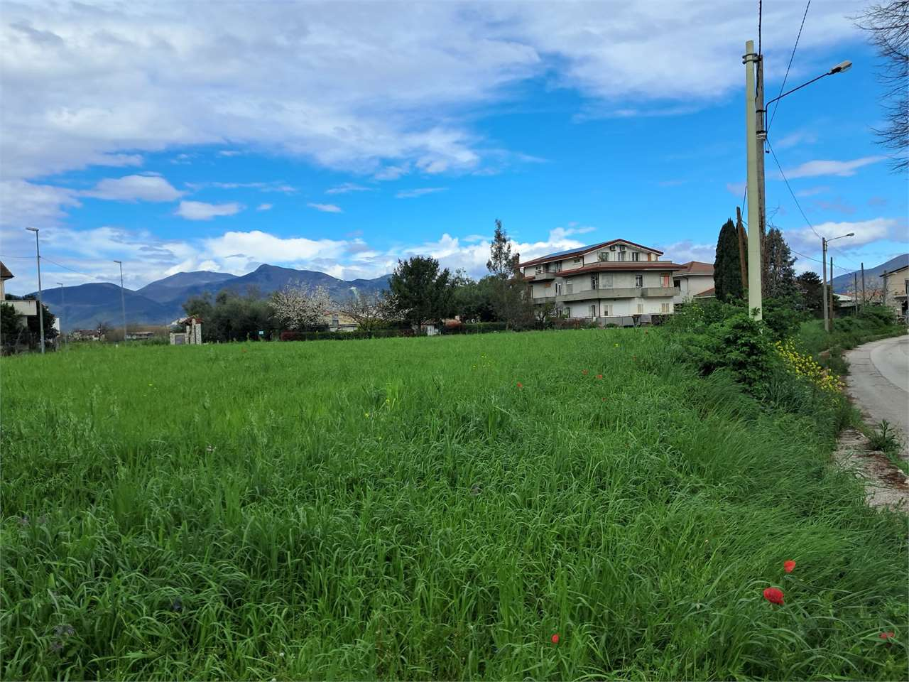 immagine annuncio 3 di 4