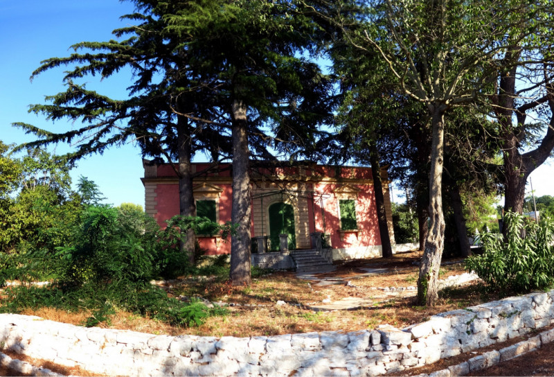 immagine annuncio 5 di 10