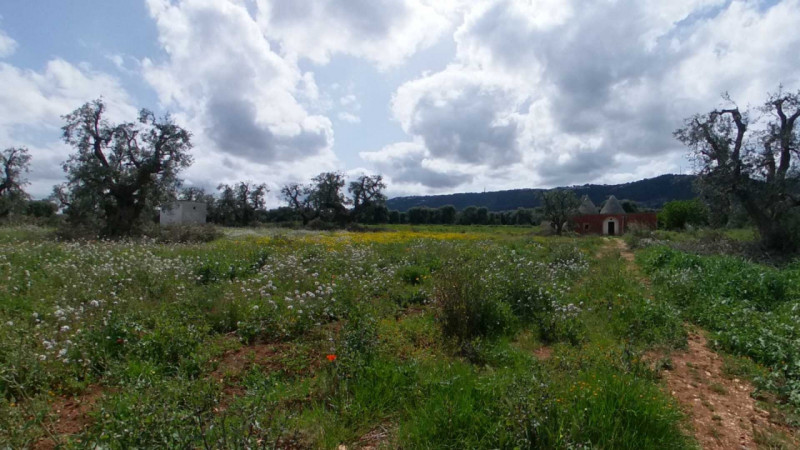 casale in vendita a Fasano